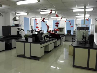 上海浦景化工 新材料技術開發中的知識產權創新實踐與亮點